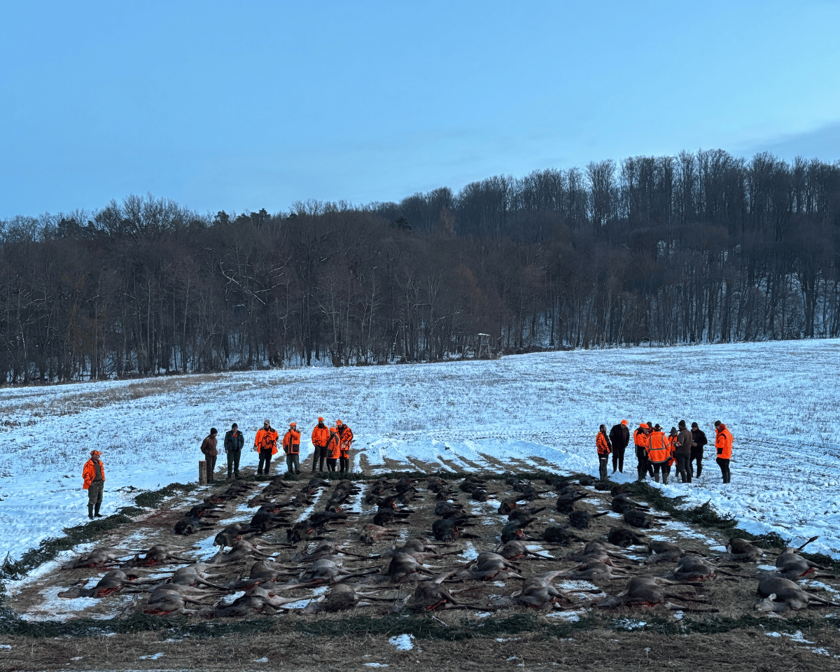 Mehr über den Artikel erfahren Riegeljagd